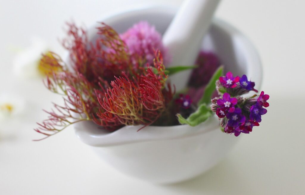 medicinal flower, remedies, ointment, cream, spa, wellness, maintenance, flower wallpaper, beauty, cosmetics, flower background, skin care, green, bio, face, healthy, beautiful flowers, personal hygiene, face mask, relax, naturally, mask, nature, product, fresh, flower, mortar, daisy, natural remedies